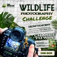 Wildlife Photography Challenge Post Instagram template