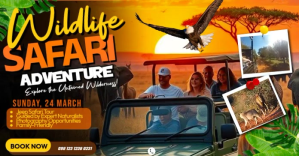 Wildlife Safari Adventure Изображение, которым поделились на Facebook template
