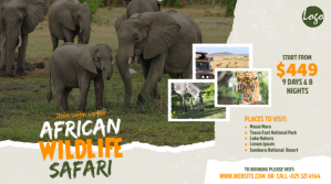 Wildlife Safari Tour Ad Post di Twitter template