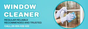 WINDOW CLEANER SERVICES TEMPLATE Bannière LinkedIn