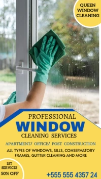 Window cleaning flyer Instagram Story template
