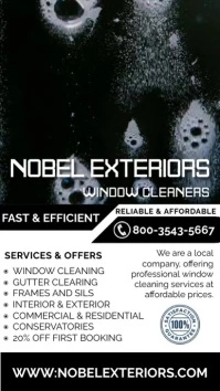Window Cleaning Services Video Template Digital Display (9:16)