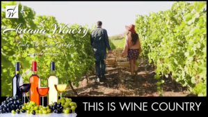 WINERY SHORT VERSION EDIT Digitalt display (16:9) template