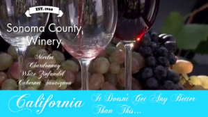 WINERY VIDEO Digitalt display (16:9) template