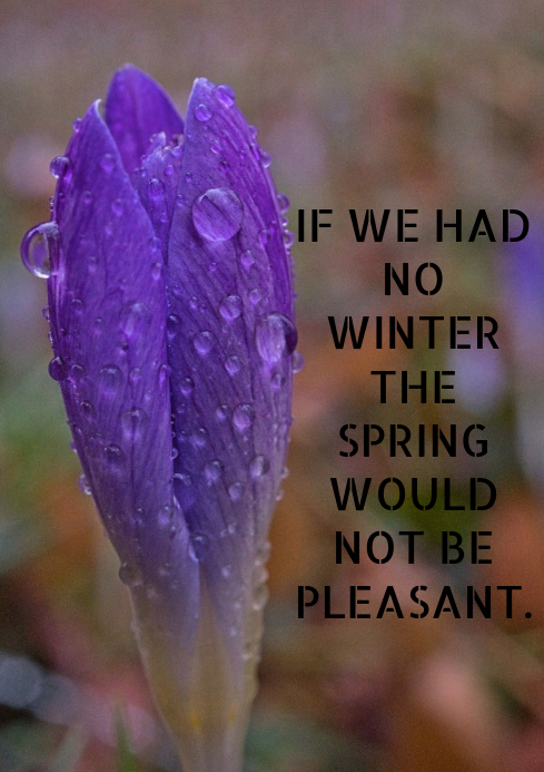 WINTER AND SPRING QUOTE TEMPLATE | PosterMyWall