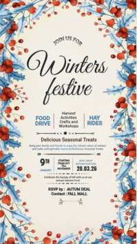 winter festive Historia de Instagram template