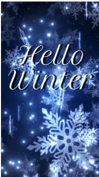 WINTER FLYER Instagram Reel template