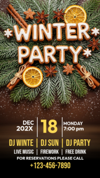 Winter Party Instagram Story template