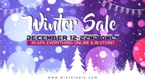 Winter Sale Advertisement Facebook Video