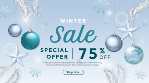 Blue Winter Sale Display digitale Template