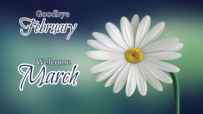 women day twitter post, women day 2023 template
