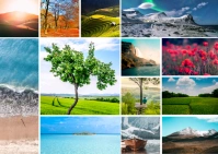 Wonderful Nature Collage ไปรษณียบัตร template