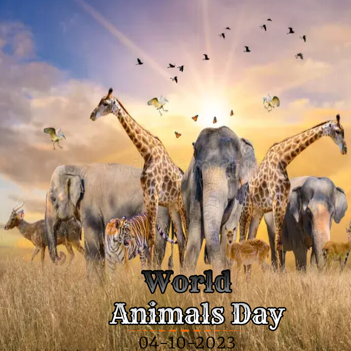 World Animals Day Instagram post Template | PosterMyWall