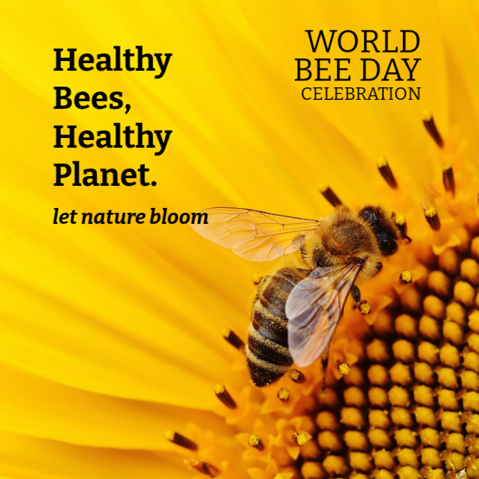 Odlings Bee Posts World Bee Day Instagram Ad Template | PosterMyWall