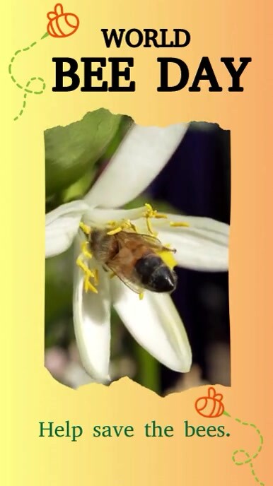Bee Post Example World Bee Day Video Post Template | PosterMyWall