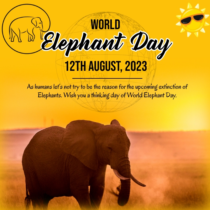 World Elephant Day 2025