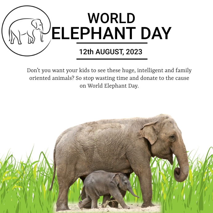 world elephant day,elephant day post Template | PosterMyWall