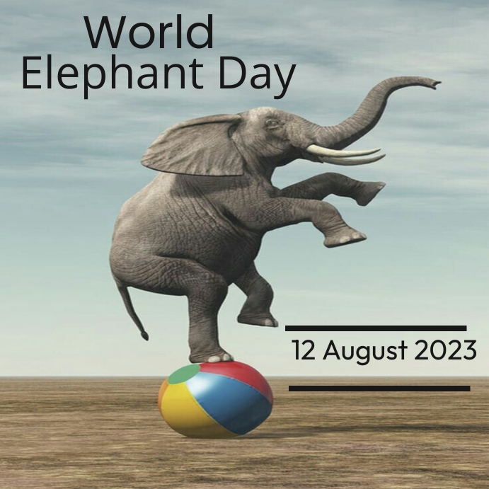 Plantilla de World elephant day instagram post | PosterMyWall