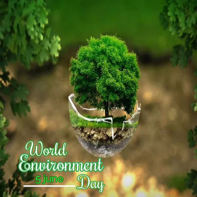 World Environment day instagram post Modelo | PosterMyWall