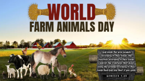 world farm animals day Digital na Display (16:9) template