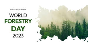 Branco World Forestry Day Facebook Shared Image Template