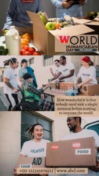 World Humanitarian Day Instagram Story template