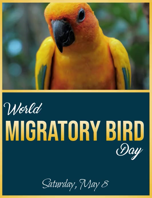 World Migratory Bird Day, Environment Flyer (format US Letter) template