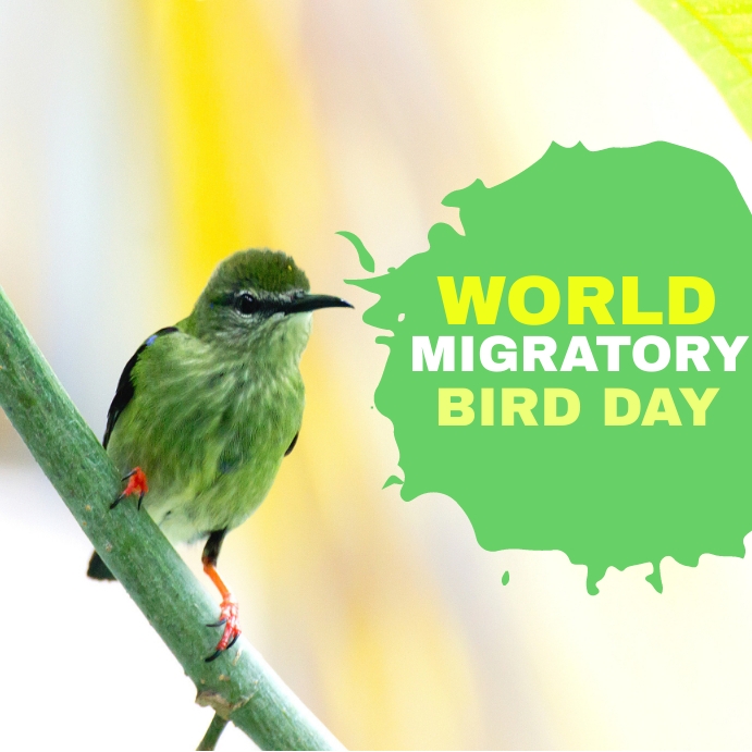 Copy of WORLD MIGRATORY BIRD DAY | PosterMyWall