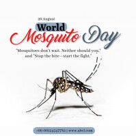 World Mosquito Day Instagram Post template