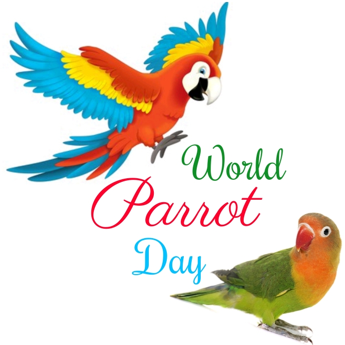 World Parrot Day 2025