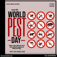 world pest day Post Instagram template