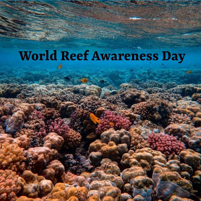 World Reef Awareness Day Template PosterMyWall