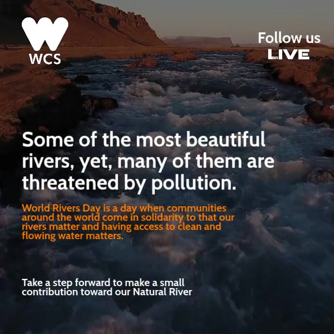 Protect Rivers Poster World River Day Conservation Template | PosterMyWall