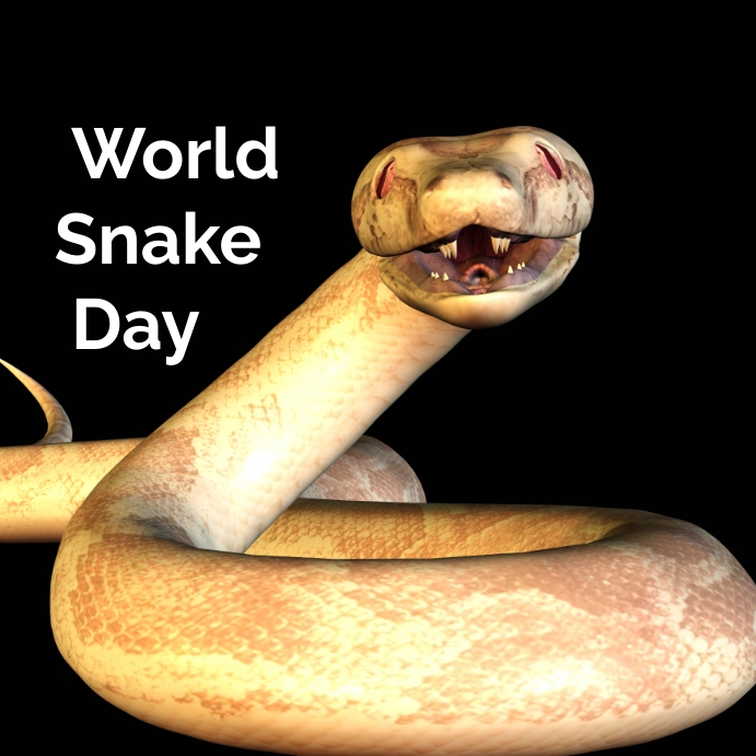 World snake day Instagram post Template | PosterMyWall