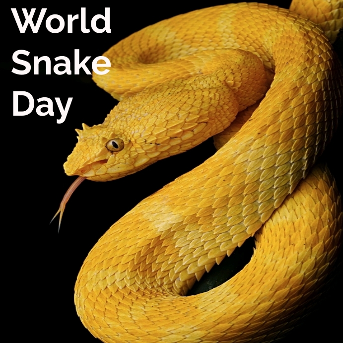 World snake day Instagram post Template | PosterMyWall