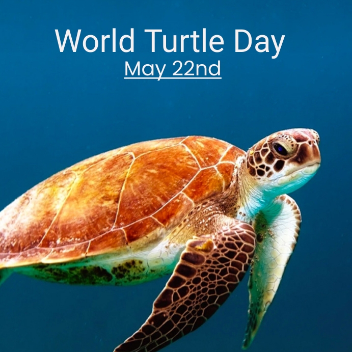world turtle day Template PosterMyWall