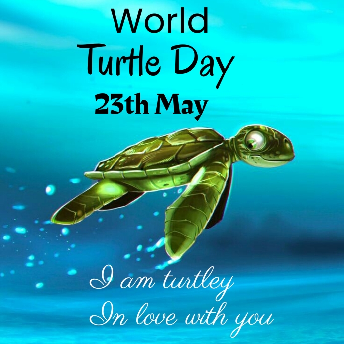 World turtle day instagram posr Template PosterMyWall