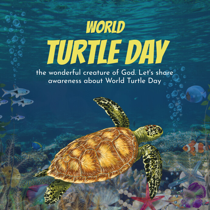 World Turtle Day Instagram Post Template | PosterMyWall