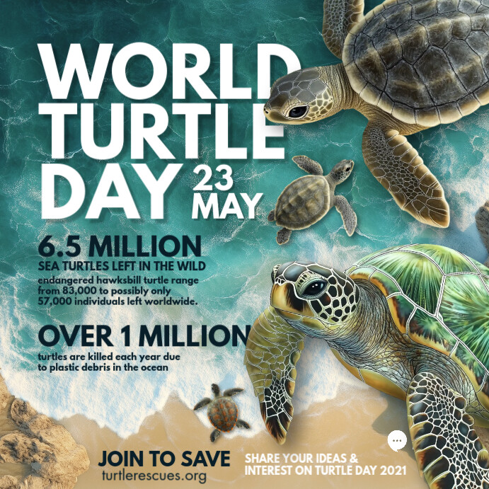 World Turtle Day Template PosterMyWall