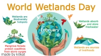 World Wetlands Day Digitale display (16:9) template