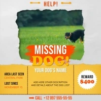 Yellow and Orange Missing Dog Square Video template