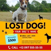 Yellow and Red Missing Dog Instagram Video Square (1:1) template