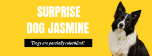 Yellow Dog Facts Facebook Cover Photo Facebook-coverfoto template