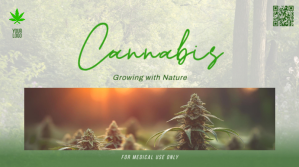 Yellow Floral Cannabis YouTube Thumbnail template