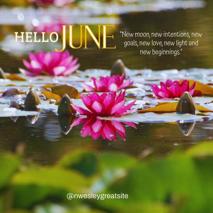Yellow Floral Hello June Instagram Post Template | PosterMyWall