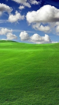 Yellow Futuristic Golf Background  Digital Display (9:16) template