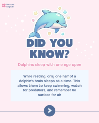 Gul Dolphin Facts Instagram Portrait Template - Page 2
