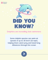 Gul Dolphin Facts Instagram Portrait Template - Page 3