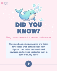 Gul Dolphin Facts Instagram Portrait Template - Page 4