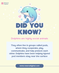 Gul Dolphin Facts Instagram Portrait Template - Page 5